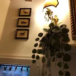 Palazzo Farini Bed and Breakfast