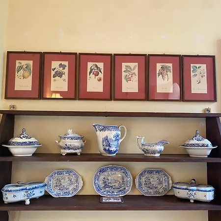 Bed & Breakfast Palazzo Farini *